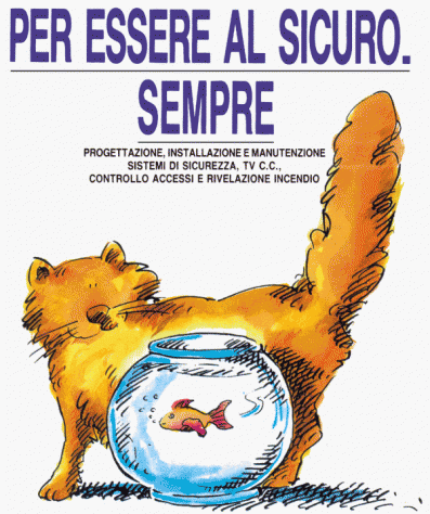 Esperto Sistemi di Sicurezza - Foto 2
