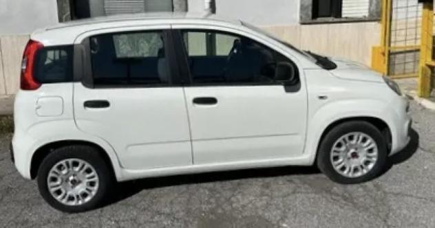 Fiat Panda 1.0 FireFly S&S Hybrid - Foto 5