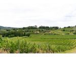 Azienda agricola in vendita a Vinci 125 mq  Rif: 1334732