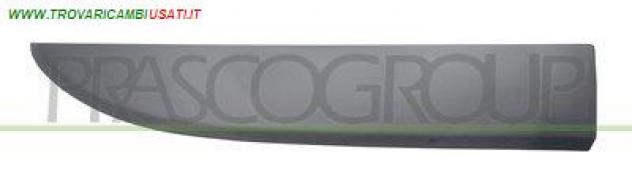 MODANATURA PORTA ANT. DX FT9001403