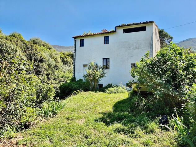 Rustico in vendita a Calci 420 mq Rif: 1413869 - Foto 5