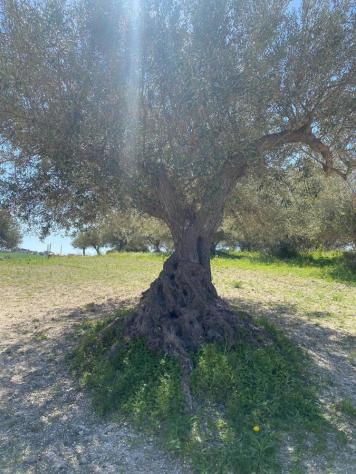 Rustico/Casale/Corte - Noto . Rif.: Cod. rif 3136156VRG - Foto 9