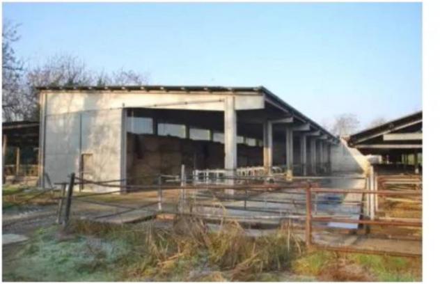 Immobile in asta di 80000 m² in vendita a Castelvisconti - Foto 10