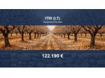 Immobile in asta di 23918 m² in vendita a Itri
