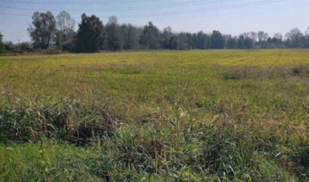 Immobile in asta di 54 m² in vendita a Ozzero - Foto 7