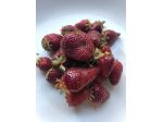 Fragola scura rifiorente