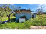Annesso agricolo in vendita a Bicchio - Viareggio 3000 mq  Rif: 1341011