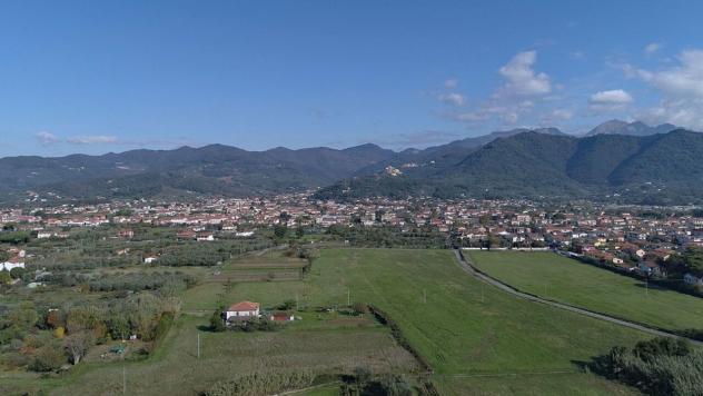 Quadrilocale in affitto a Luni - Foto 2