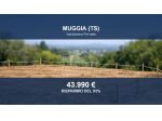 Immobile in asta di 102792 m² in vendita a Muggia