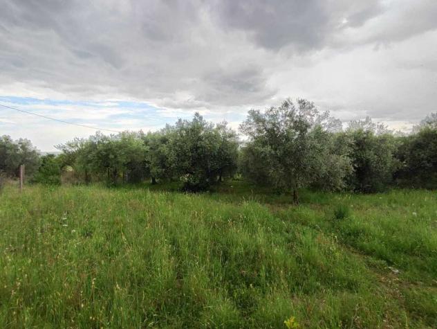 Area verde in vendita a Tivoli - Foto 12