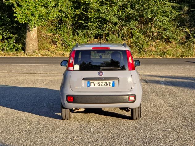 Fiat Panda 1.2 EasyPower Lounge CV-69 E6 GPL Manuale NEO 2019 - Foto 5