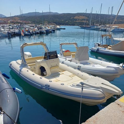 GOMMONE STINGHER 22 CON MOTORE SELVA 200