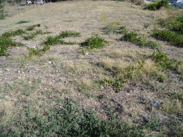 Villaggio Mosè terreno edificabile