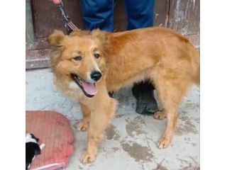 Stefi: 2 anni taglia contenuta
