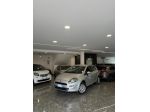 Fiat Punto 1.4 8V 5 porte Natural Power Lounge