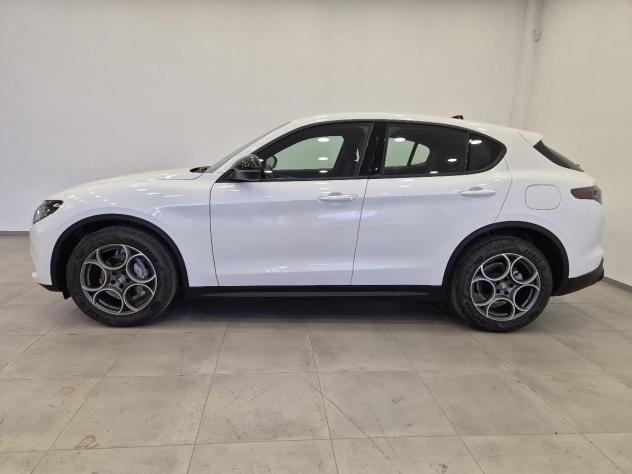 Alfa Romeo Stelvio 2.2 Td 160 CV AT8 Sprint MY2024 N1 Autocarro Cerchi19 - Foto 3