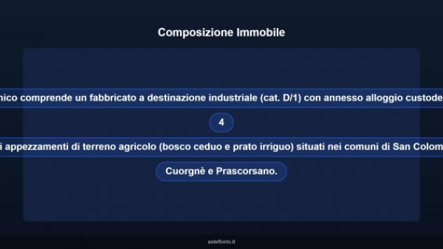 Immobile in asta di 4189 m² in vendita a San Colombano Belmonte - Foto 7