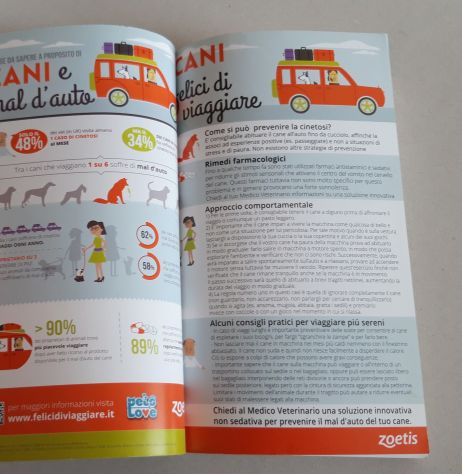 Viaggiare con cane e gatto - Foto 3