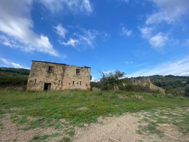 Agricolo in Via Frascinelle - Foto 4
