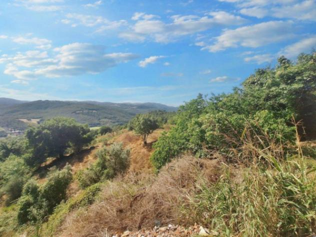 Immobile in asta di 3875 m² in vendita a Bevagna - Foto 13