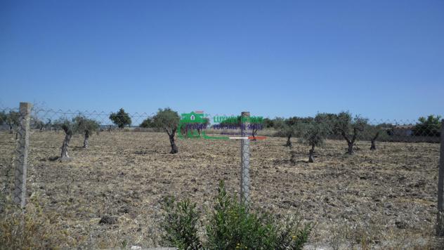 TERRENO AGRICOLO a Chiaramonte Gulfi