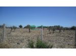 TERRENO AGRICOLO a Chiaramonte Gulfi