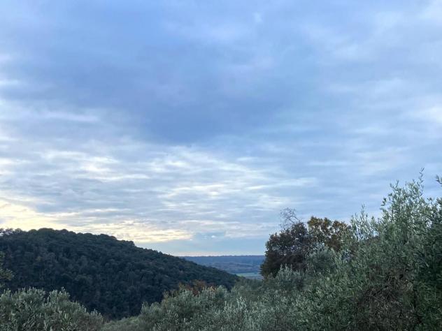 Terreno edif. residenziale in vendita a Riparbella 6500 mq Rif: 1409836 - Foto 2