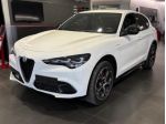 ALFA ROMEO Stelvio Stelvio 2.2 Turbodiesel 210 CV AT8 Q4 Veloce