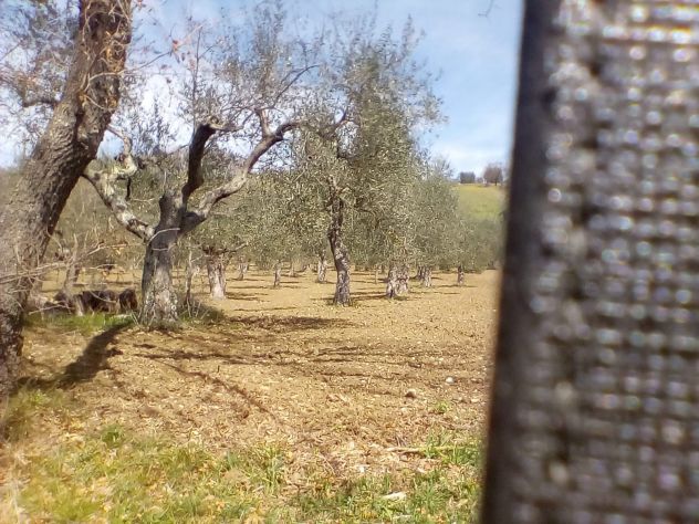 Terreno in provincia di Salerno - Foto 2