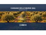 Immobile in asta di 2000 m² in vendita a Cassano delle Murge