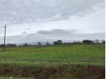 TERRENO AGRICOLO di 53000 mq (PITIGLIANO) rif. TER.ROS.