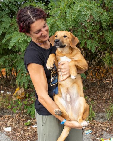 BOBBY, 6 MESI E MEZZO (14/03/26), TAGLIA MEDIA, TROVATO VAGANTE PER LA PIAZZA - Foto 6