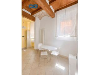Loft in affitto a Bologna
