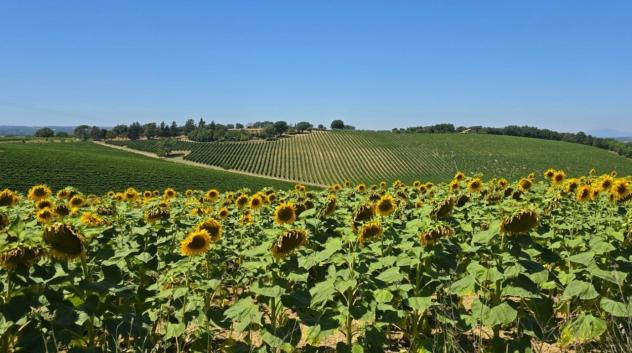 Casale in vendita a Baschi