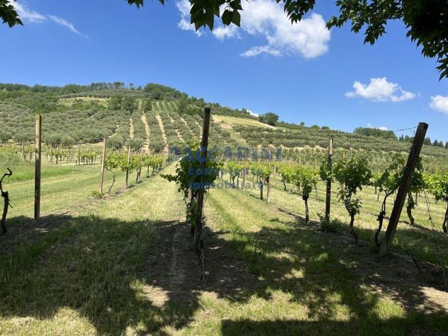 FONDO AGRICOLO CANOVA - BRISIGHELLA VIA FAENTINA VICINO AL CIVICO 95
