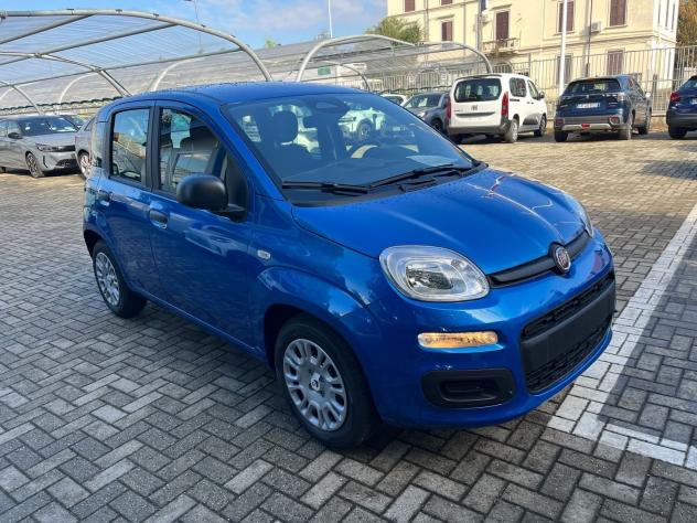 FIAT Pandina Pandina 1.0 firefly hybrid Icon s&s 65cv - Foto 3