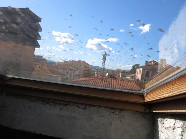 Quadrilocale in vendita a Sarzana - Foto 15