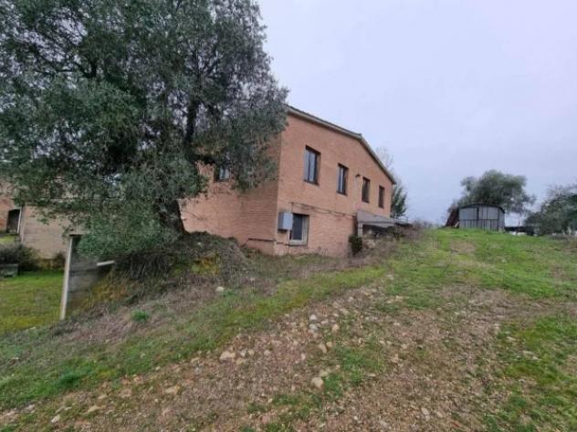 Immobile in asta di 1108 m² in vendita a Siena - Foto 4