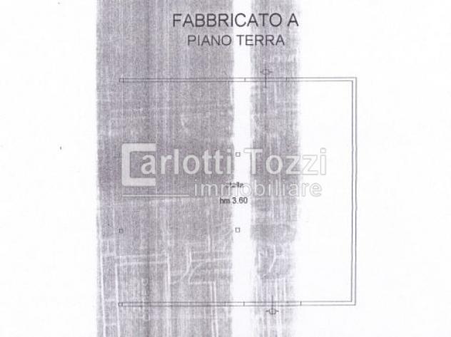RUSTICO di 7 vani e di 160 mq (CAMPAGNATICO) rif. 01590 - Foto 4