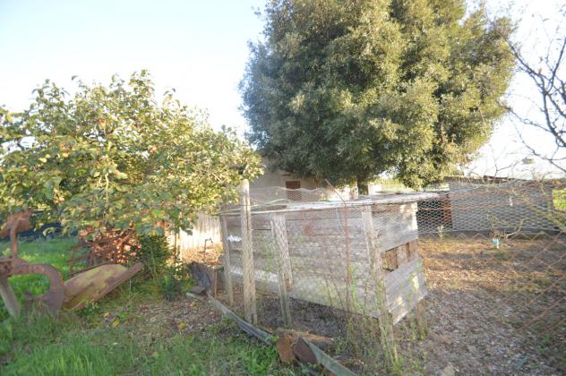 Seminativo in vendita a Grosseto - Foto 4