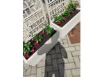 Giardiniere professionale max serieta
