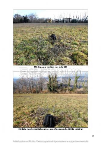 Terreno di 13290 mq in vendita a Aviano - Rif. 4551424 - Foto 14