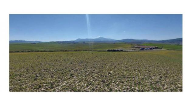 Immobile in asta di 508625 m² in vendita a Castiglione d'Orcia - Foto 2