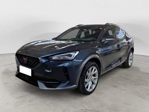 CUPRA Formentor Formentor 2.0 tdi 4drive 150cv dsg