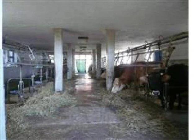 Immobile in asta di 702 m² in vendita a Ronchi Valsugana - Foto 12