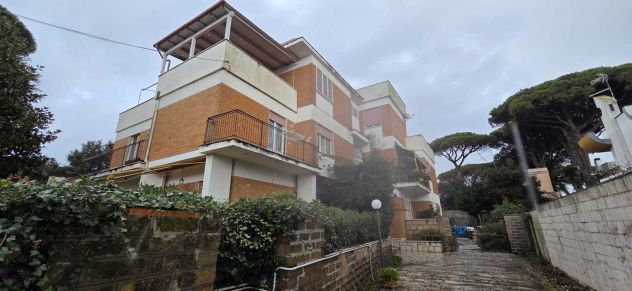 lavinio appartamento