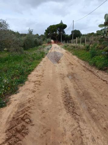 Terreno in vendita a Caltagirone, Santo Pietro - Foto 6