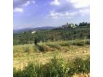 I Viticci Podere il Poggio
