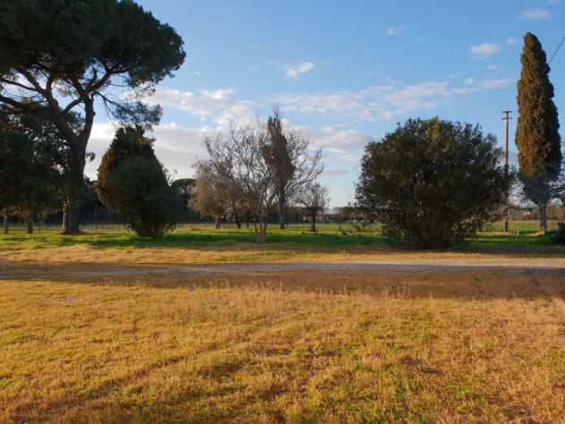 Casale in vendita a Pisa