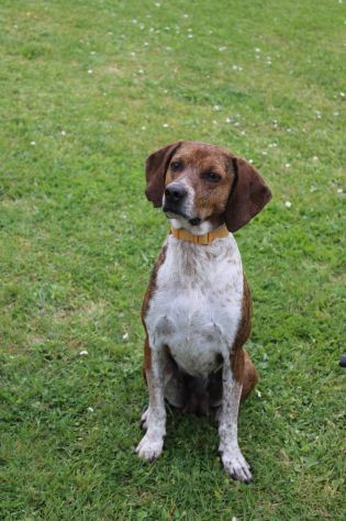 Marie - Foto 3